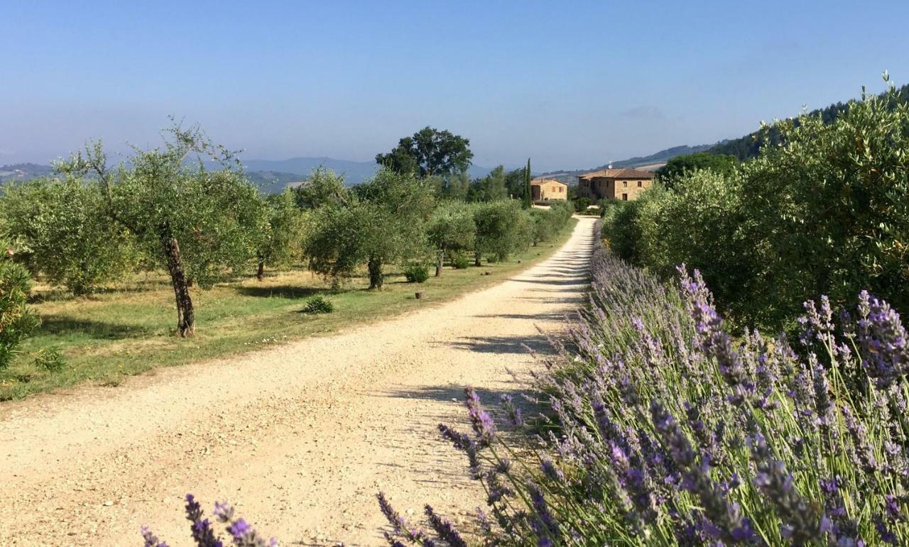 Villa Le Bolli 라디콘돌리 외부 사진